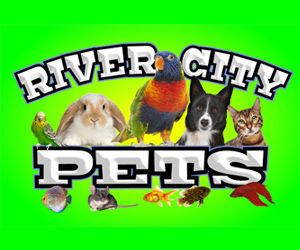 River City Pets